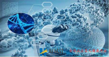 卵巢早衰的我终于试管成功怀孕了!!!!(图5)