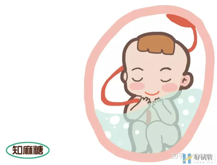 试管婴儿长方案需要多少天（什么是“试管婴儿”？）深度揭秘(图2)