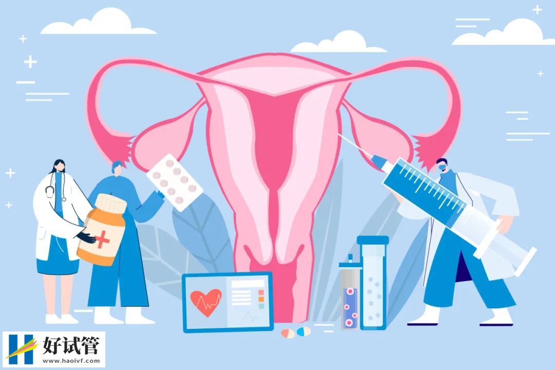 高龄女性做试管婴儿有五道坎(图1)