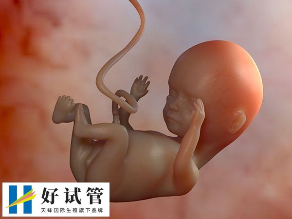 生殖科的收费通常比妇科要高