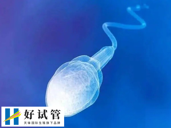 显微取精过程不复杂