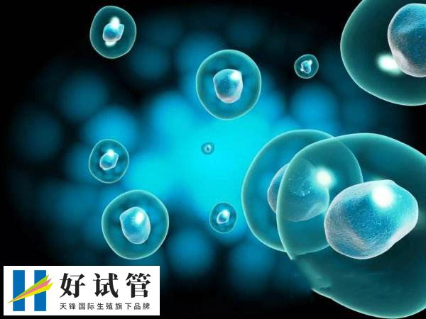 取卵只是一个小手术