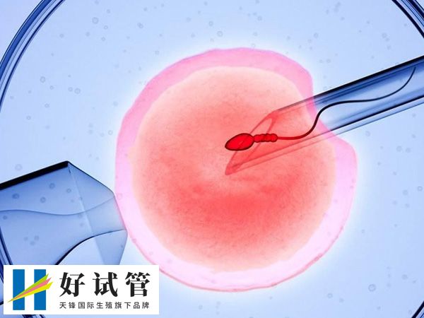 取卵怎么会有空卵泡(图1)