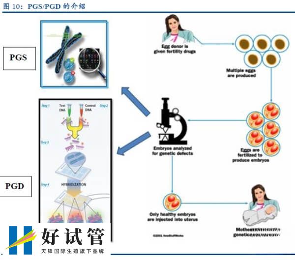 PGS/PGD的介绍