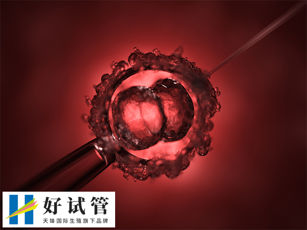 供卵试管成功率在40%-50%之间