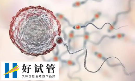 移植后出血可能是失败的表现