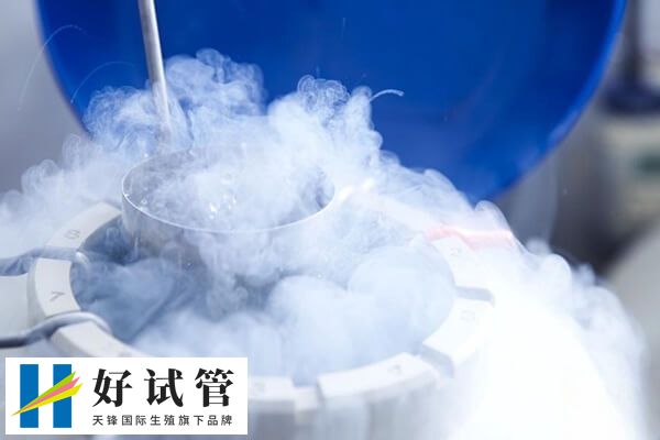 冷冻胚胎的移植技术先进