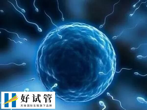 男方不属于严重的弱精可以选择一代试管