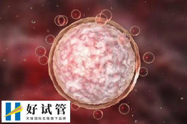 多个卵泡大小近似且小于5mm表示降调成功