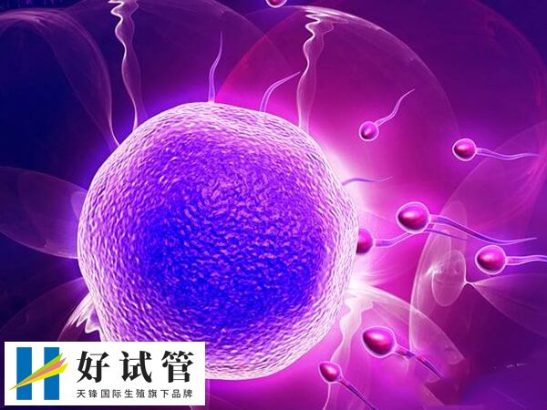 试管短方案相对长方案时间较短