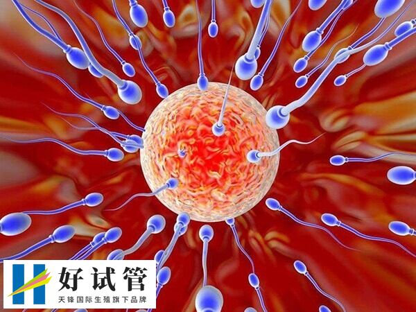 在正规医院做试管风险较小